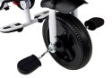 LEAN Toys Rower Trójkołowy PRO300 Czerwony