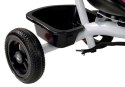 LEAN Toys Rower Trójkołowy PRO300 Różowy