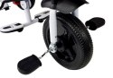 LEAN Toys Rower Trójkołowy PRO300 Różowy