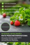 LEAN Trike Agrotkanina czarna 100 cm x50m UV 70g antychwastowa agrowłóknina + kotwy LEAN Trike Agrotkanina czarna 100 cm x50m UV 70g antychwastowa agrowłóknina + kotwy