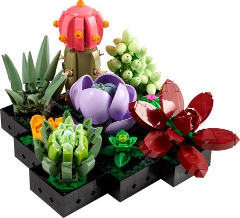 LEGO 10309 Creator Sukulenty LEGO 10309 Creator Sukulenty
